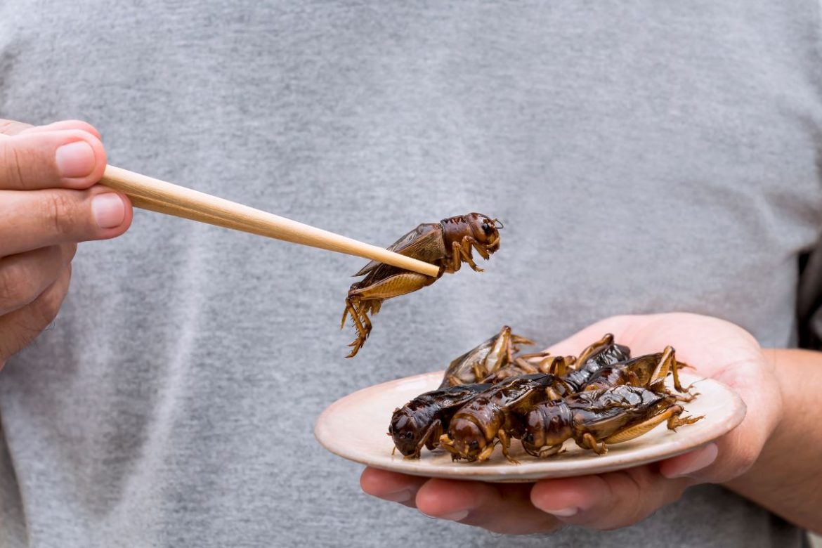 Jedly hmyz